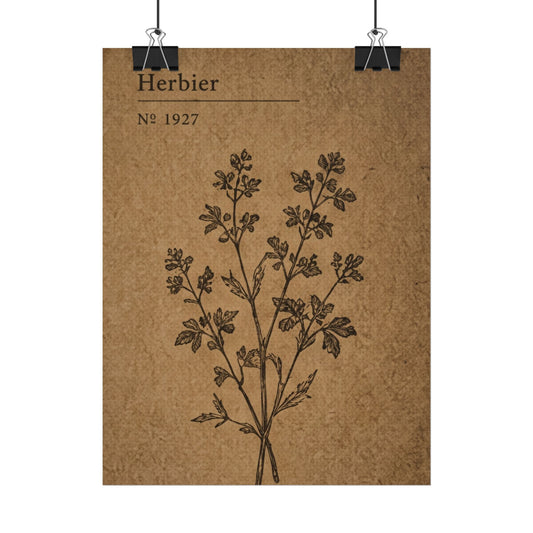 Herbier Botanical Poster
