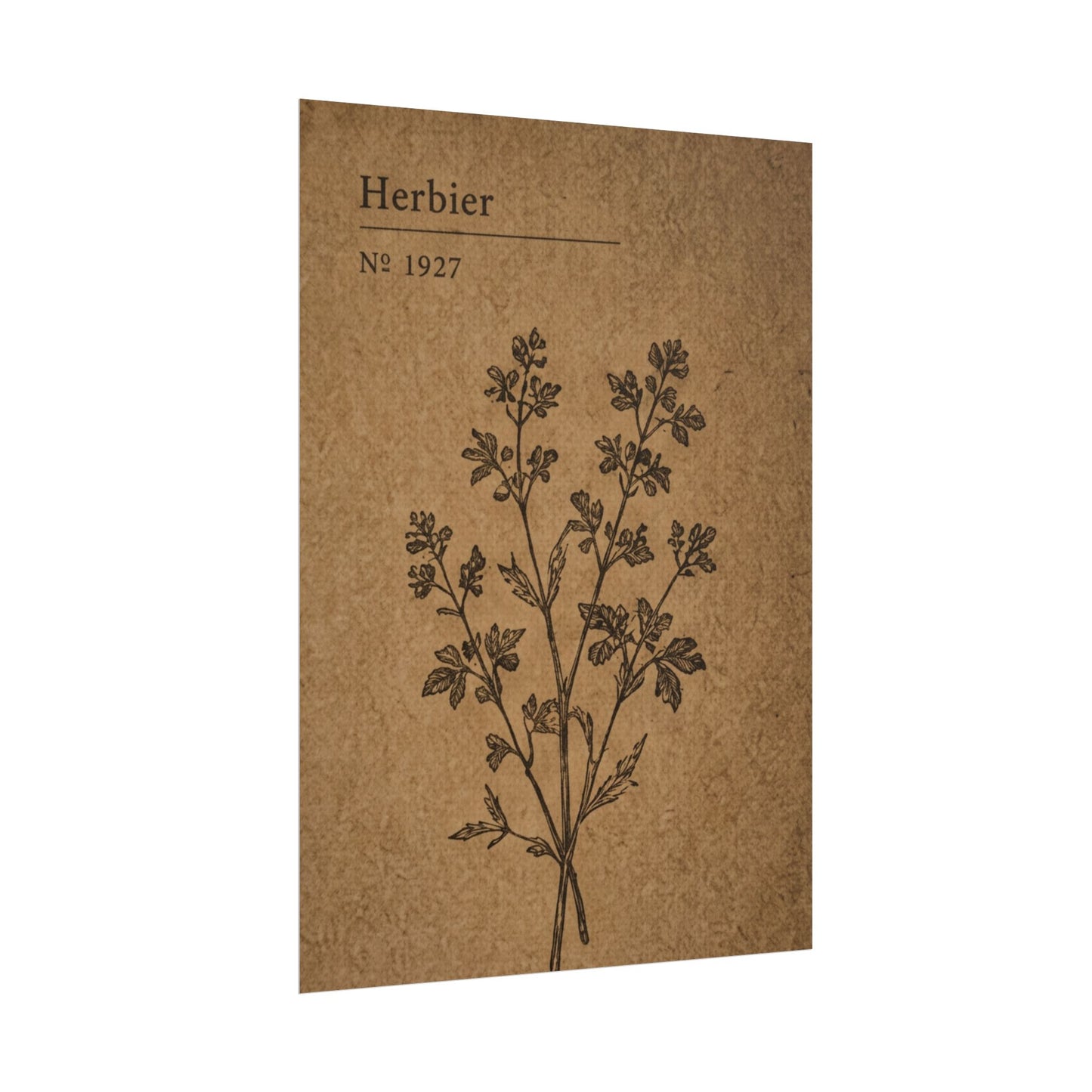 Herbier Botanical Poster