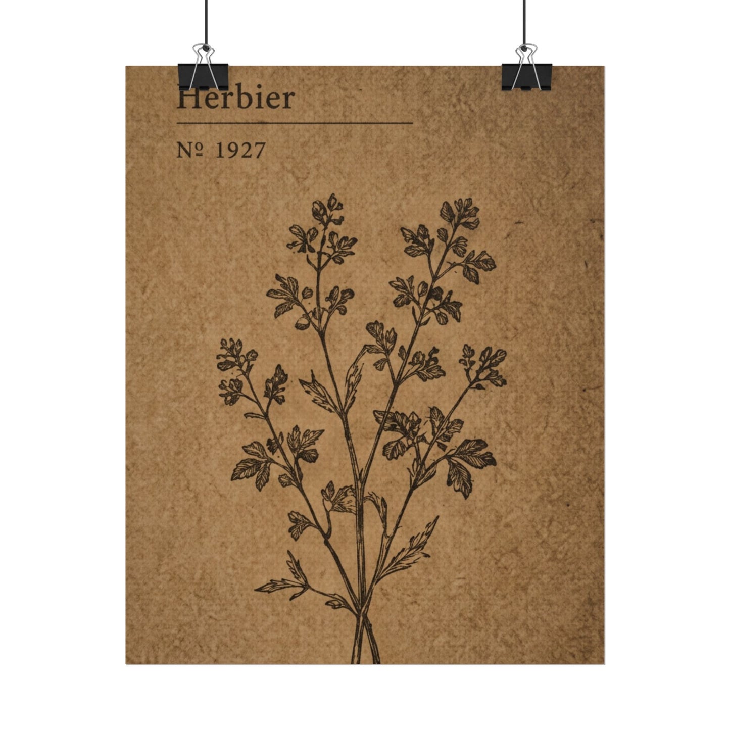 Herbier Botanical Poster