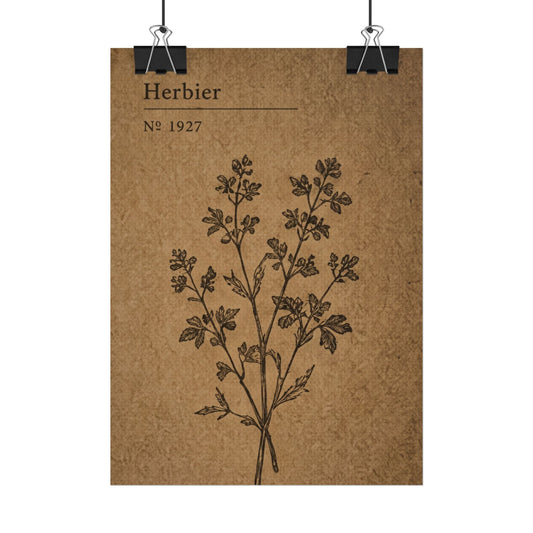 Herbier Botanical Poster
