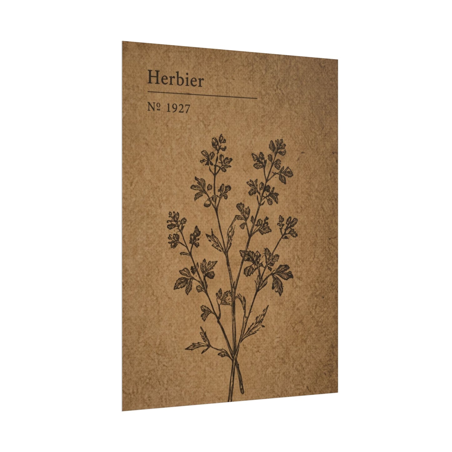 Herbier Botanical Poster