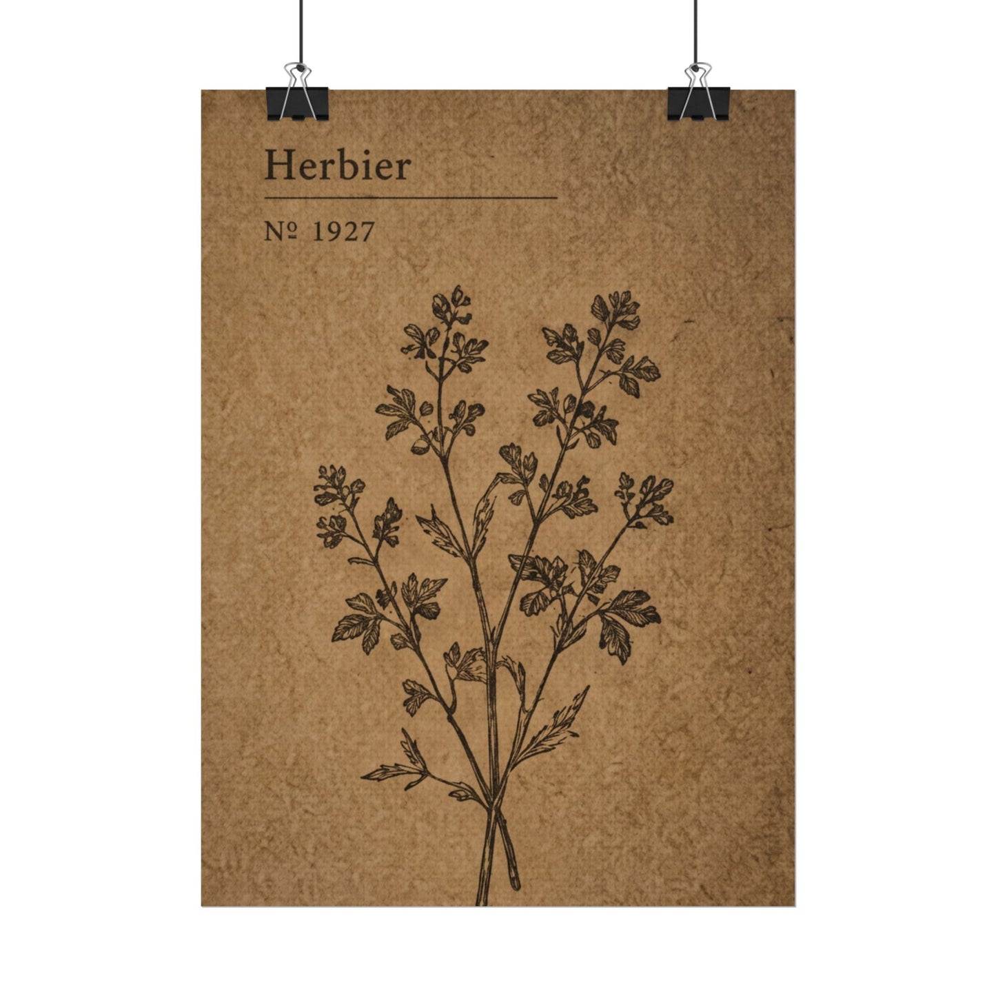 Herbier Botanical Poster