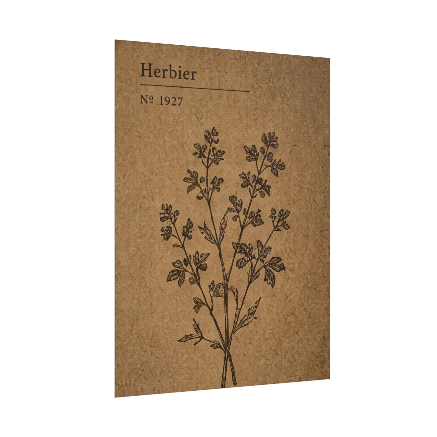 Herbier Botanical Poster