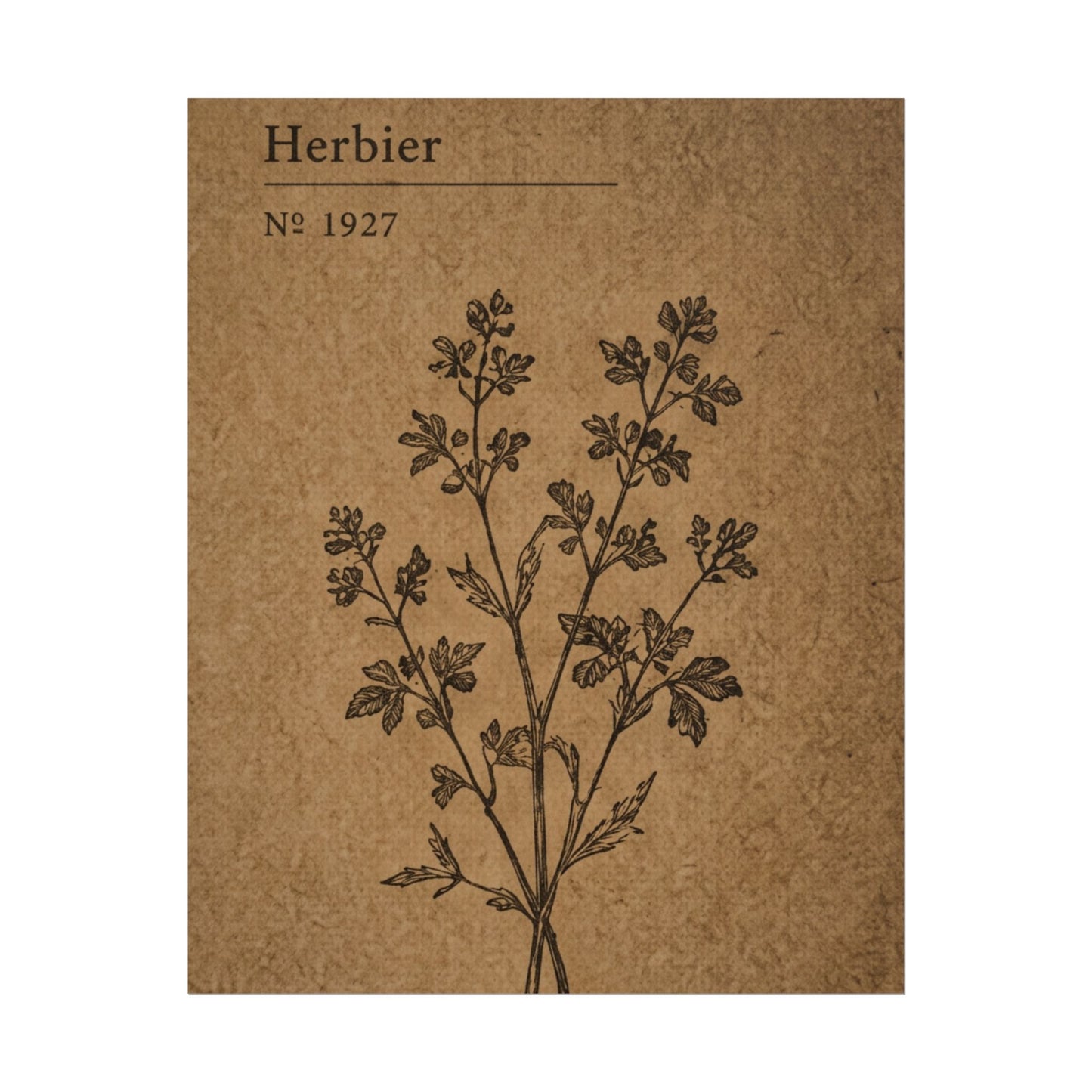 Herbier Botanical Poster