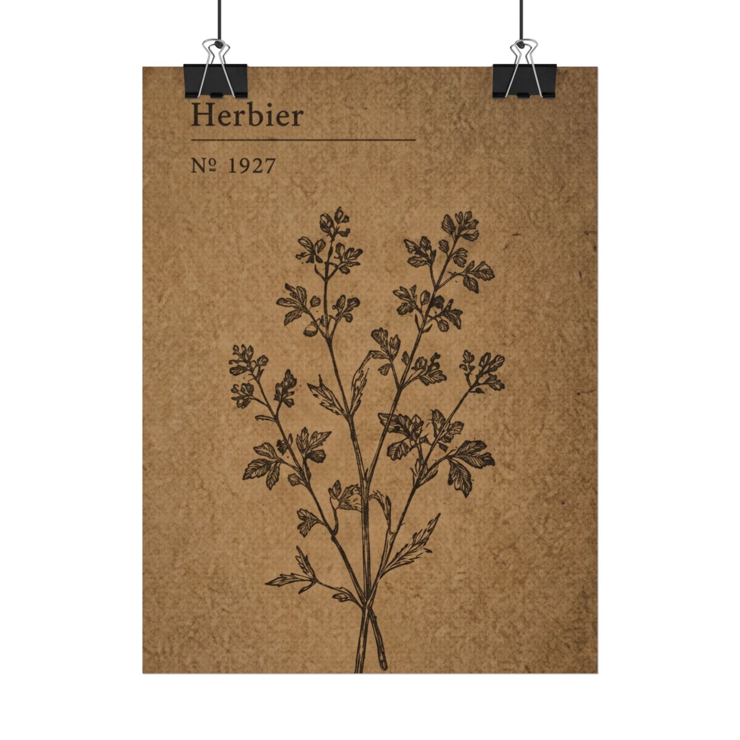 Herbier Botanical Poster
