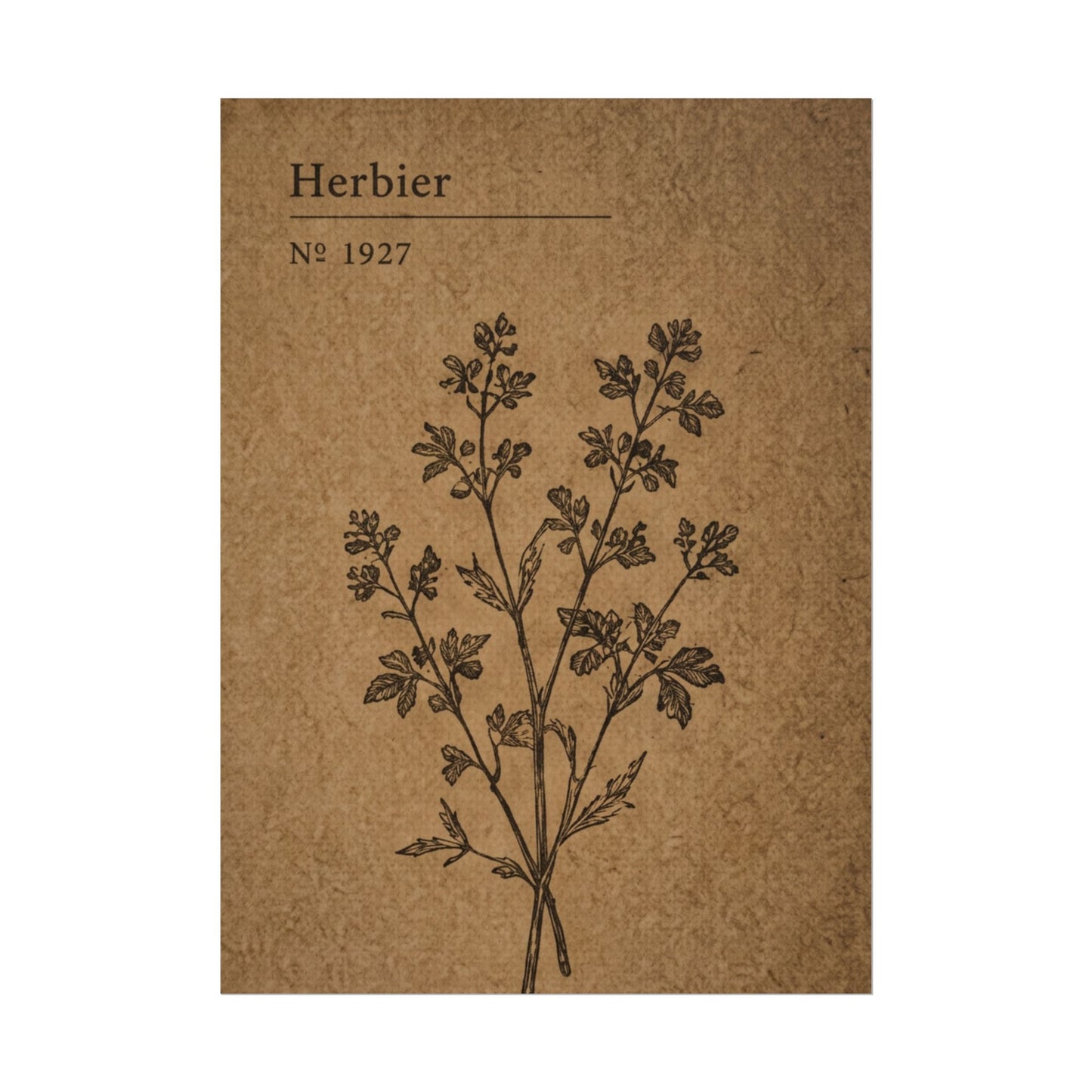 Herbier Botanical Poster