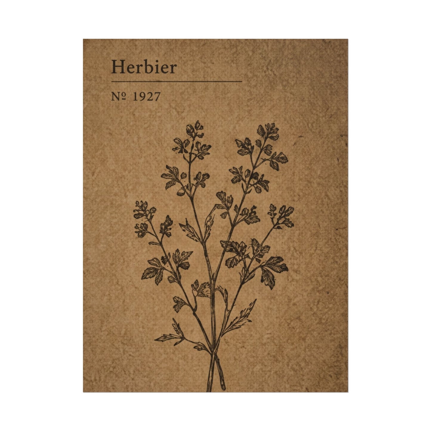 Herbier Botanical Poster