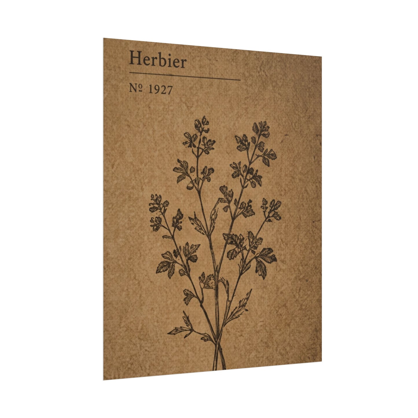 Herbier Botanical Poster